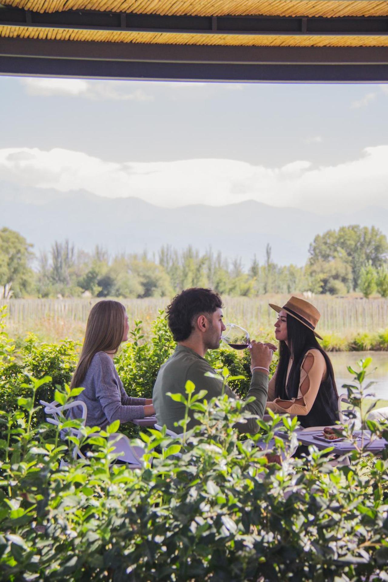 Postales Boutique Winery Hotel - Valle De Uco Colonia Las Rosas Exterior foto